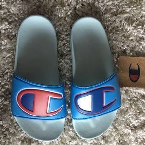 COPY - Champion slides